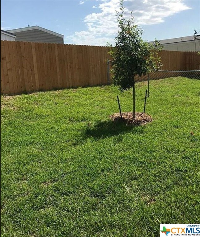 Foto del edificio - 6013 Amelia Earhart Blvd