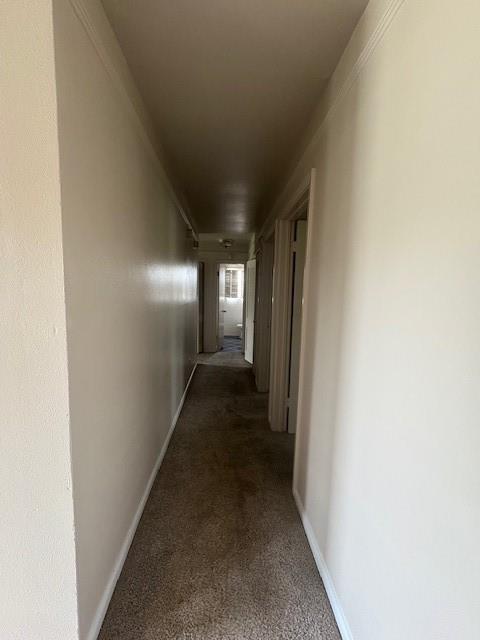 Foto del edificio - 7531 Glenheath St