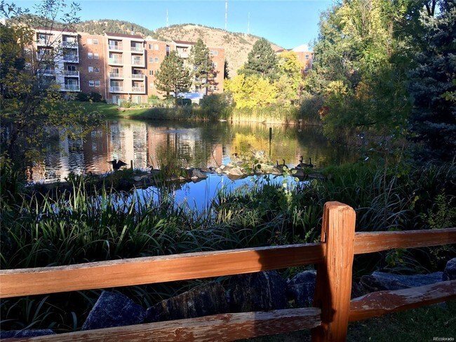 Beautiful grounds - 1300 Golden Cir