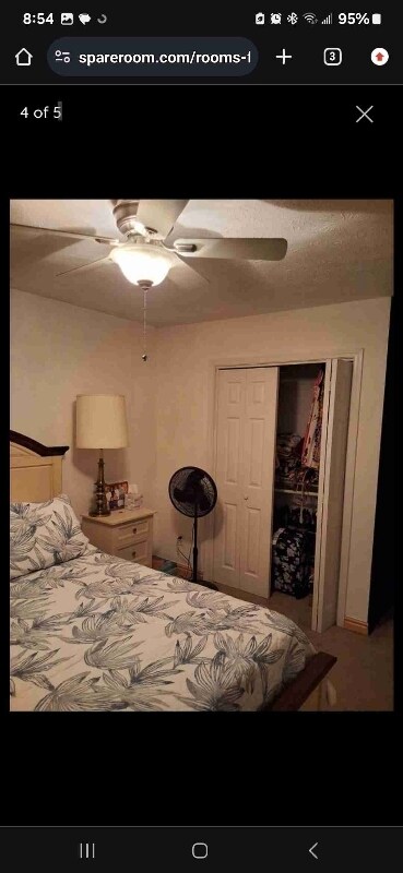 Foto del edificio - 4984 Pine Cone Ct