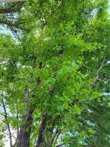 Foto del edificio - 1464 Summerhill Dr