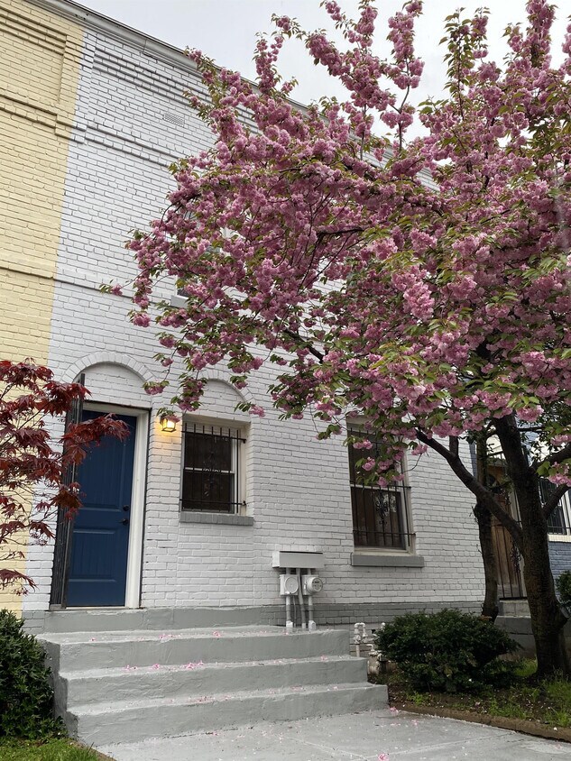 Photo - 1238 Half St SW (Washington, DC)