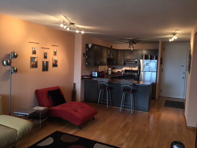 Living Room/Kitchen - 1960 N Lincoln Park W
