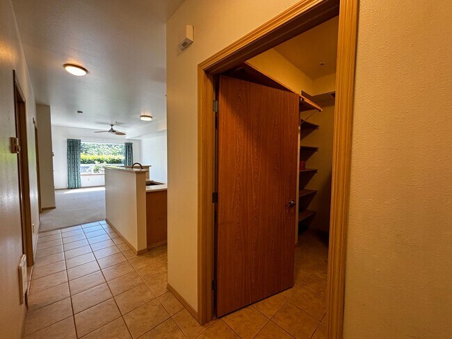 Foto del edificio - Large 1 Bed 1 Bath in Darby Estates!  Move...