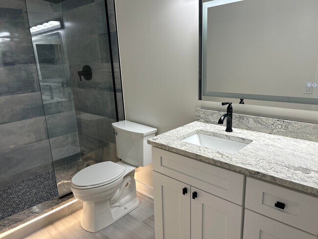 Baño - 512 N McClurg Ct