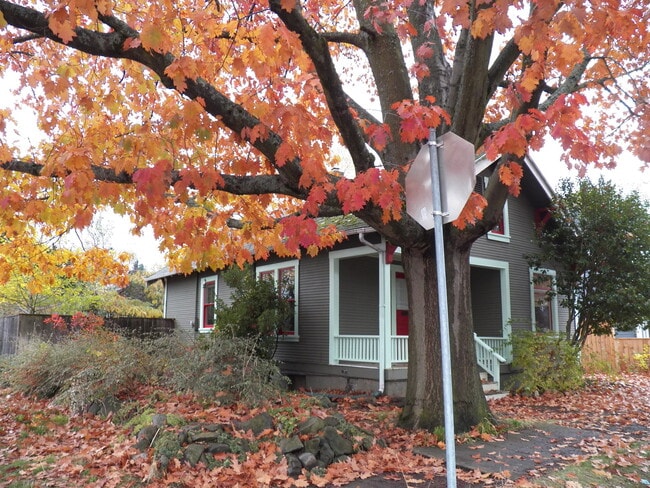 Building Photo - Beautiful Cottage in the Hollywood Distric...