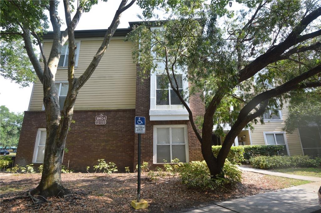 10024 Strafford Oak Ct Unit 803, Tampa, FL 33624 Condo for Rent in