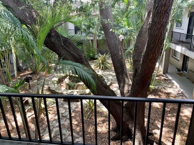 Building Photo - 1 bedroom in Tampa FL 33629-5833