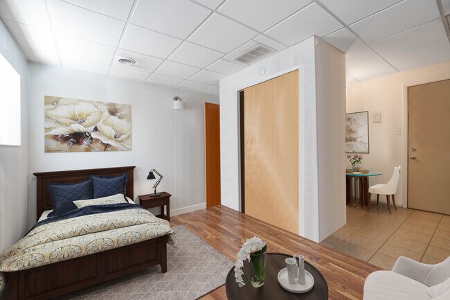 Living room/ Bedroom - 102 W College St
