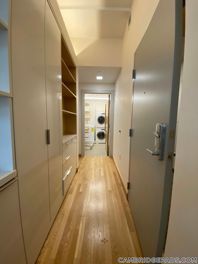 Building Photo - 115 Mt Auburn St