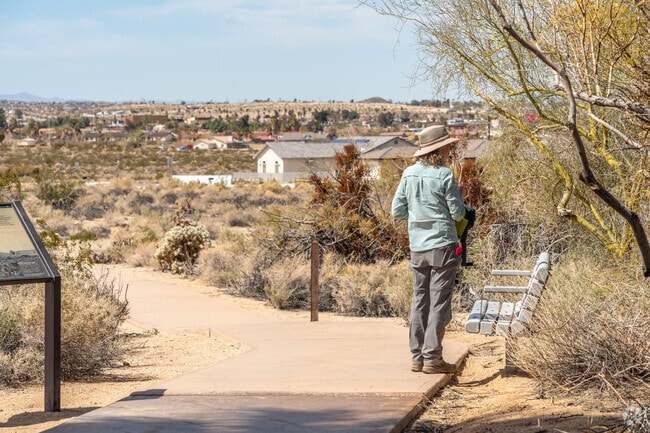 Enjoy the nearby nature at Oasis of Mara Nature Trail for a morning hike.