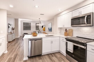 Kitchen with Stainless Steel Appliances - Floresta