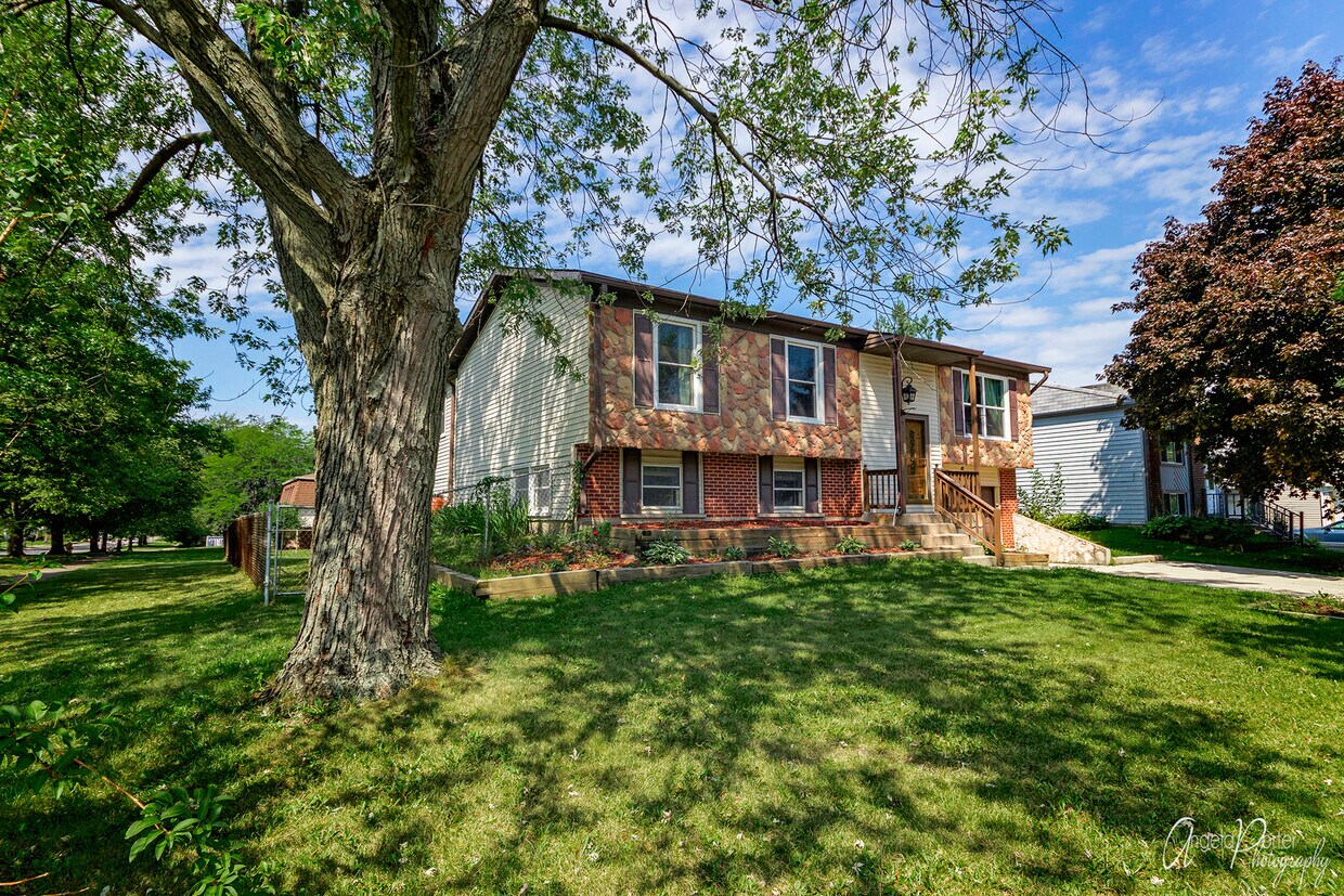 301 Lancelot Way, Bolingbrook, IL 60440 House Rental in Bolingbrook