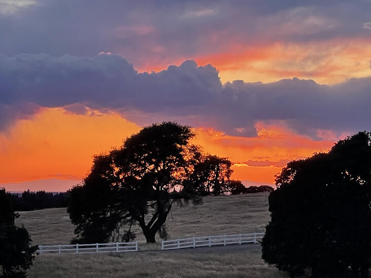 EVENING SUNSET - 1496 Malcolm Dixon Rd