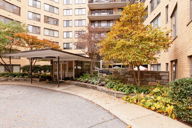 Building Photo - All Utilities Included! Cozy Studio on Con...