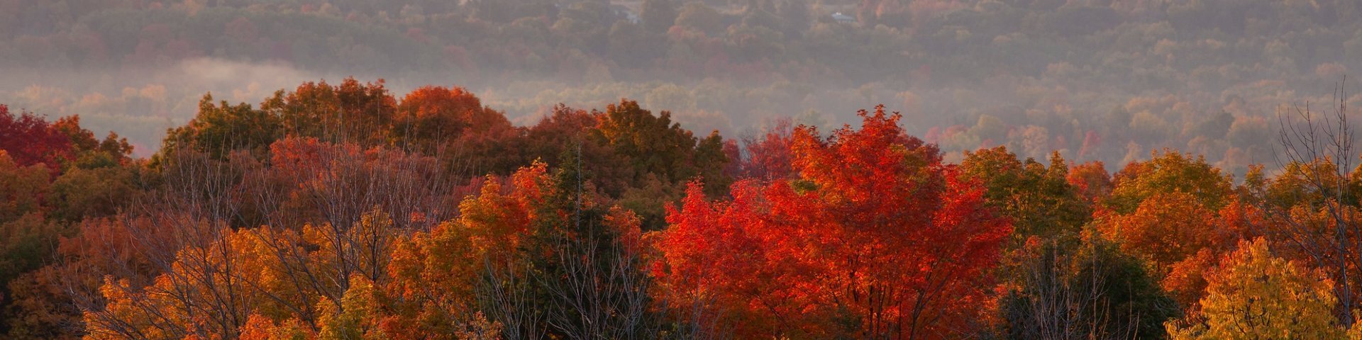 Image d'arrière-plan