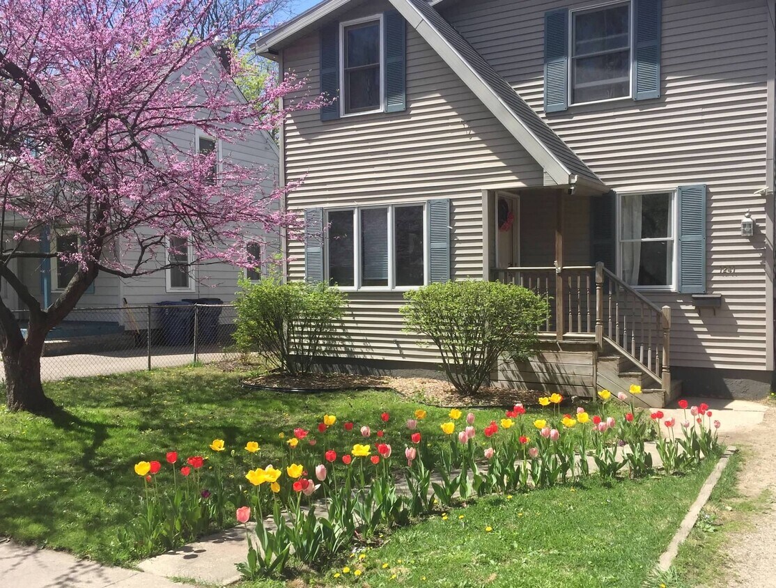 Foto principal - 1241 Nassau St