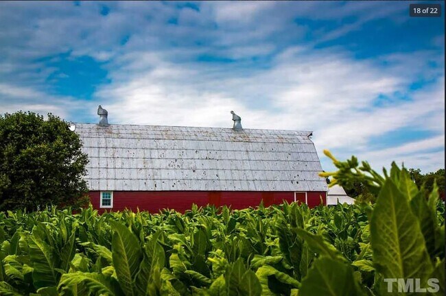 Building Photo - 12049 Watson Seed Farm Rd