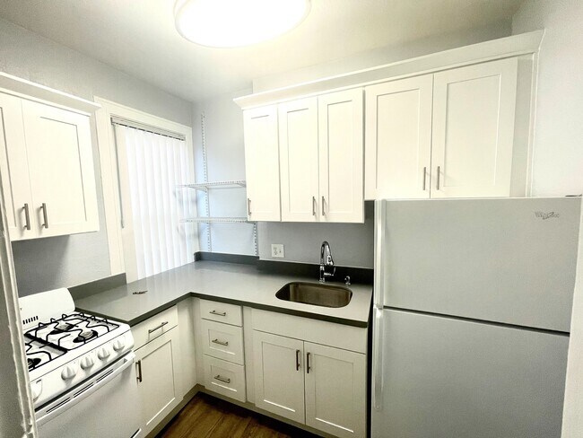 101 SC COCINA FOTO 1 - Scandia Mignon Apartment Homes