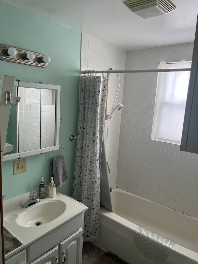 Baño - 45 Mount Hope Ave