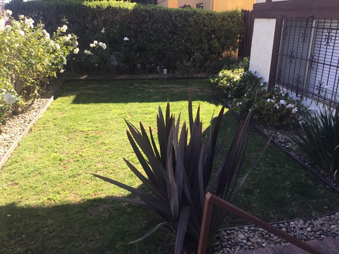 Foto del edificio - Palm Sawtelle Townhomes