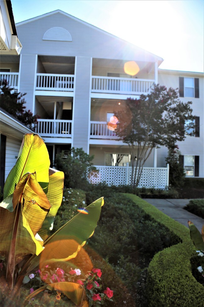 Shadow Lake Apartments Apartments Flowood, MS