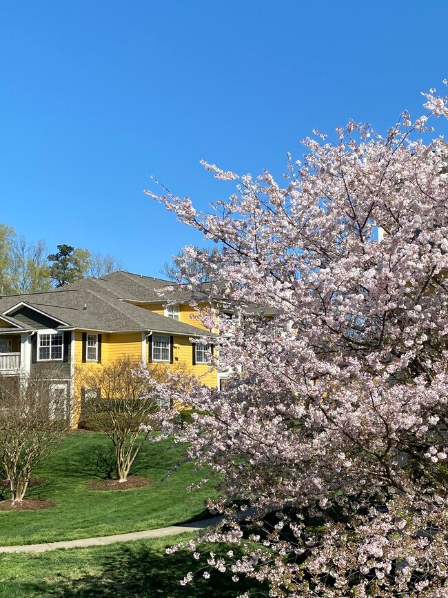 Building Photo - 1027 Saluda Ct