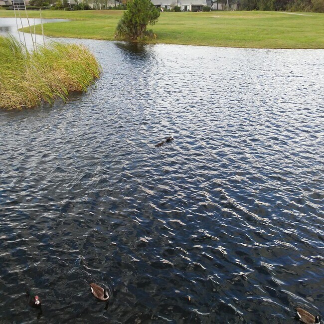 Lake View - 7845 La Sierra Ct