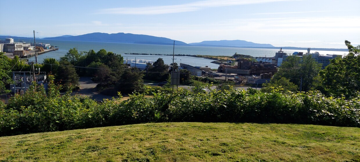 View from private yard. - 2823 Eldridge Ave