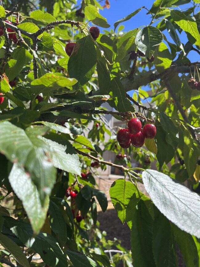 Building Photo - Fountaine
