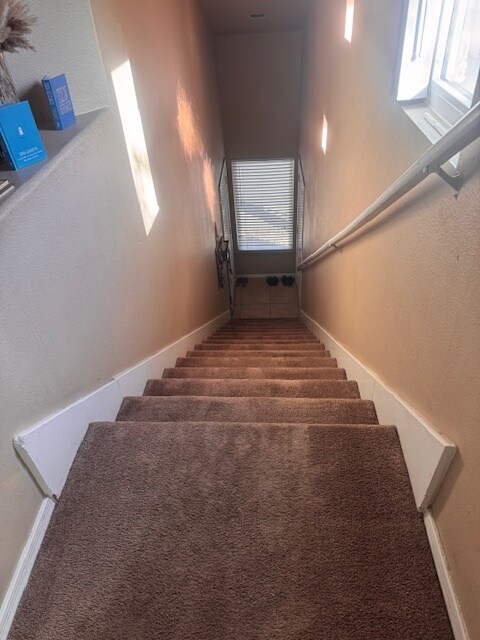Foto del edificio - 3236 E Chandler Blvd