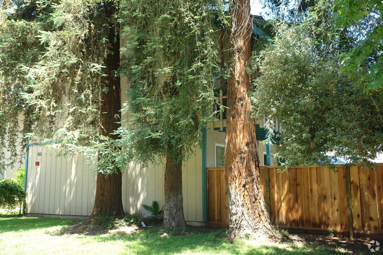 Building Photo - 1175 Mesa Dr