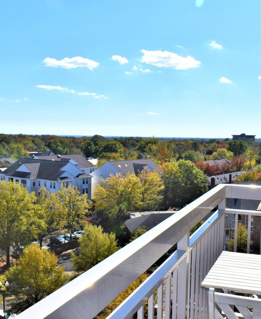 Beautiful South Eastern View From the Balcony - 3830 9th St N