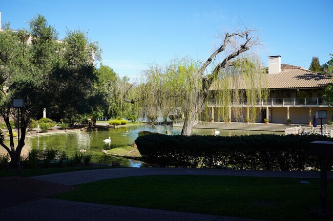 Estanque y casa club - 320 N Civic Dr
