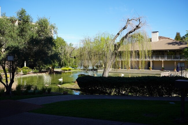 Pond and Clubhouse - 320 N Civic Dr