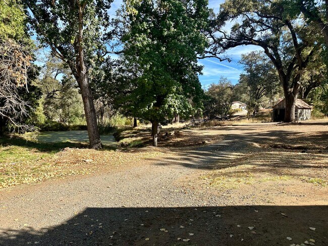 Building Photo - Stunning Renovated 2 Bedroom 2 Bathroom Farm House on 8 Acres