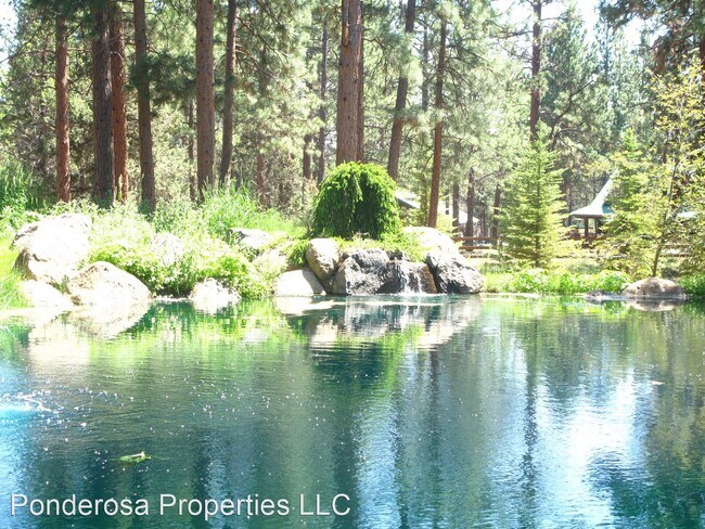 Building Photo - 4 br, 4 bath House - 16480 Wren Lane