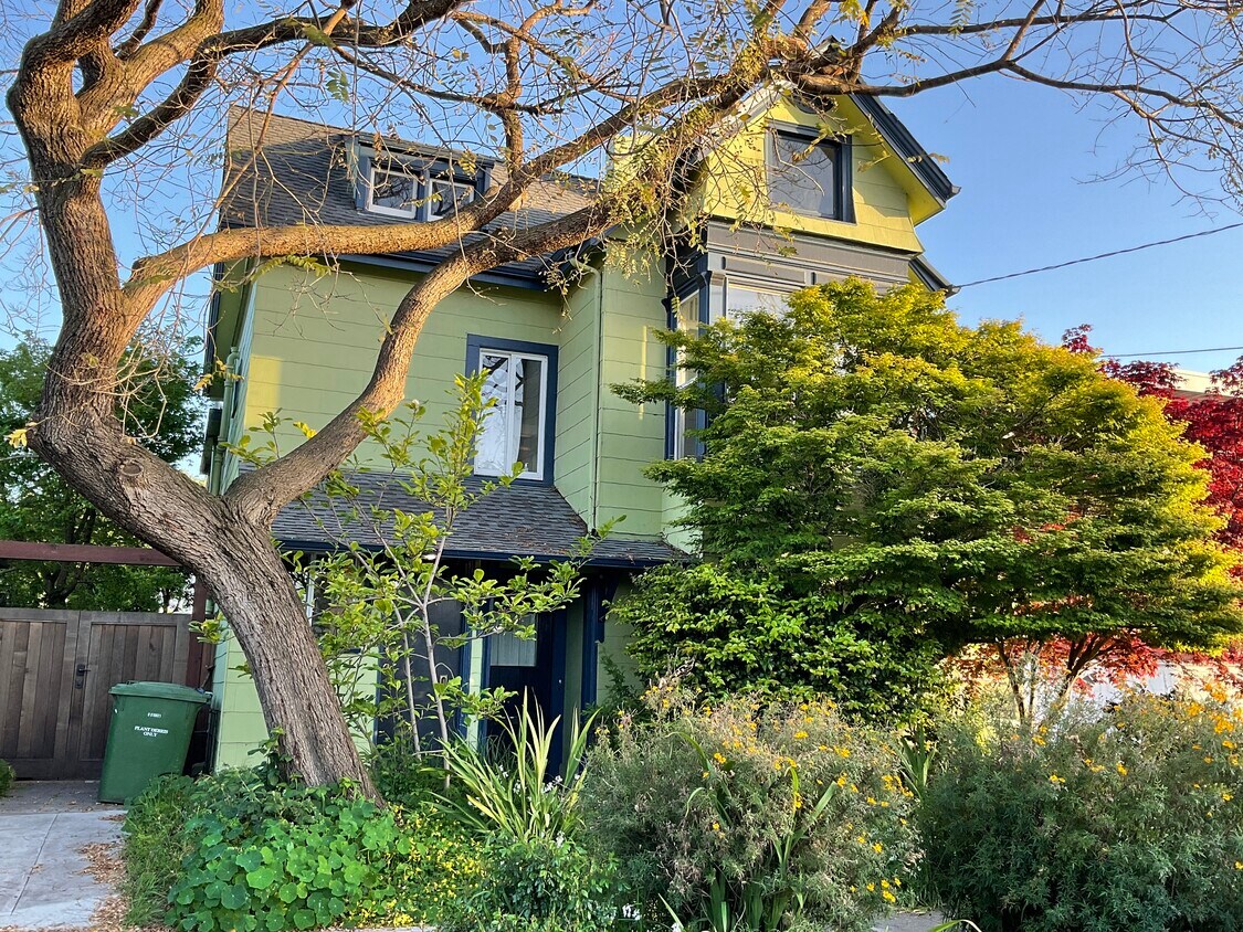 1342 St Unit B, Berkeley, CA 94702 Apartments in Berkeley, CA