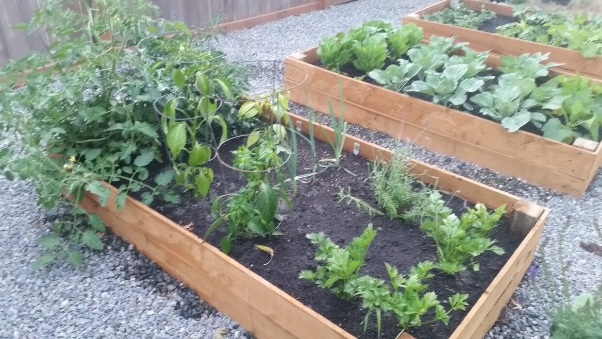 Primary Photo - 1375 Whittier Ave SE