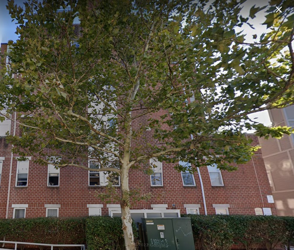Primary Photo - 20 Chestnut St