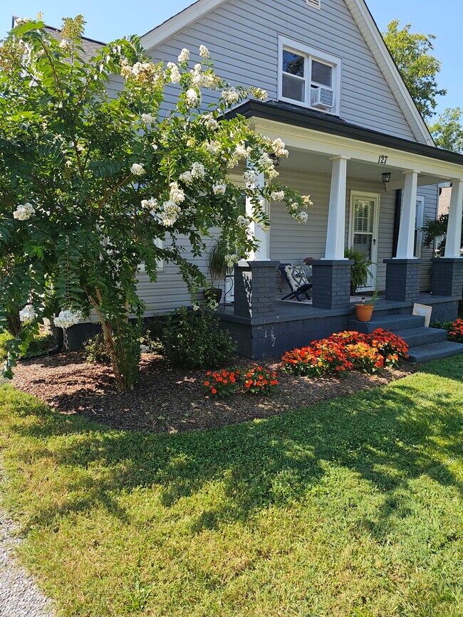 Landscape front yard - 127 E Park Ave