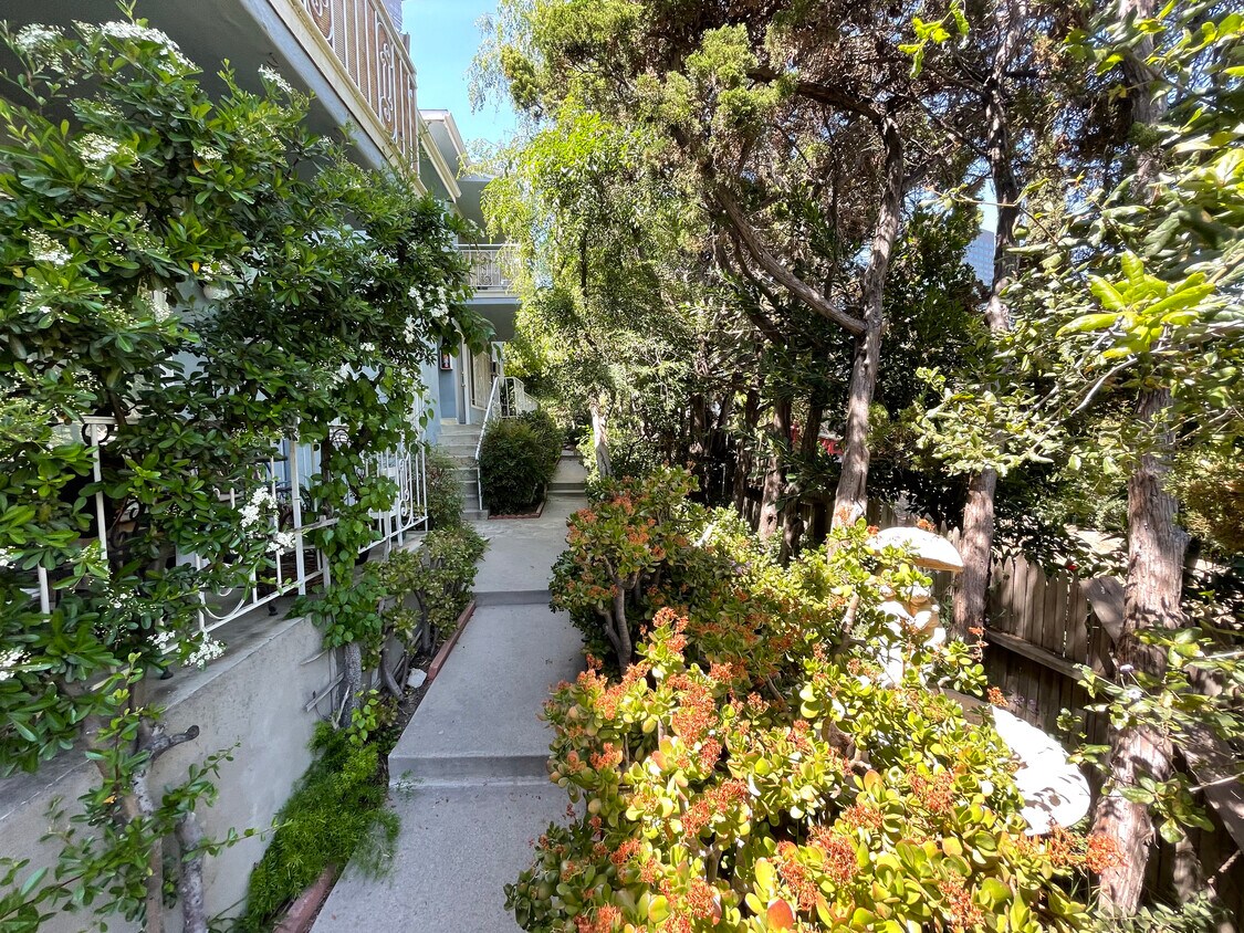 Landscaping and pathway - 3661 Regal Pl