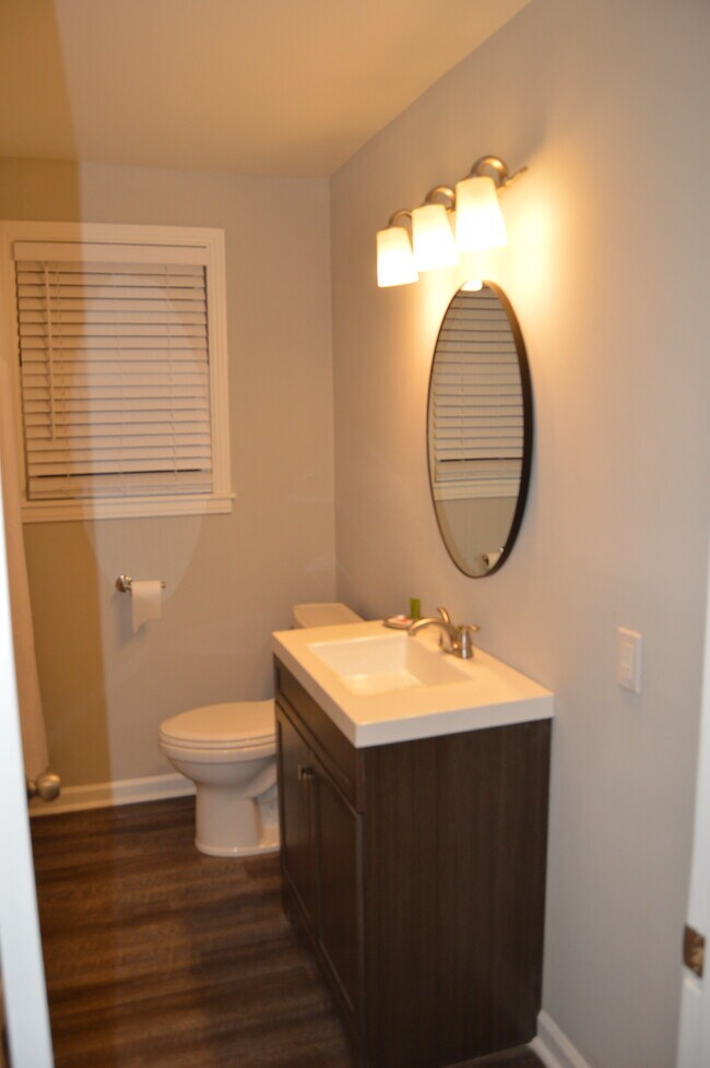 Downstairs bathroom - 828 Young's Lane