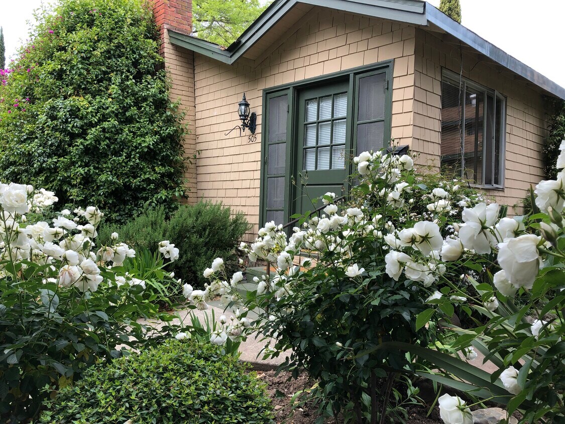 Primary Photo - 505 Addison Ave