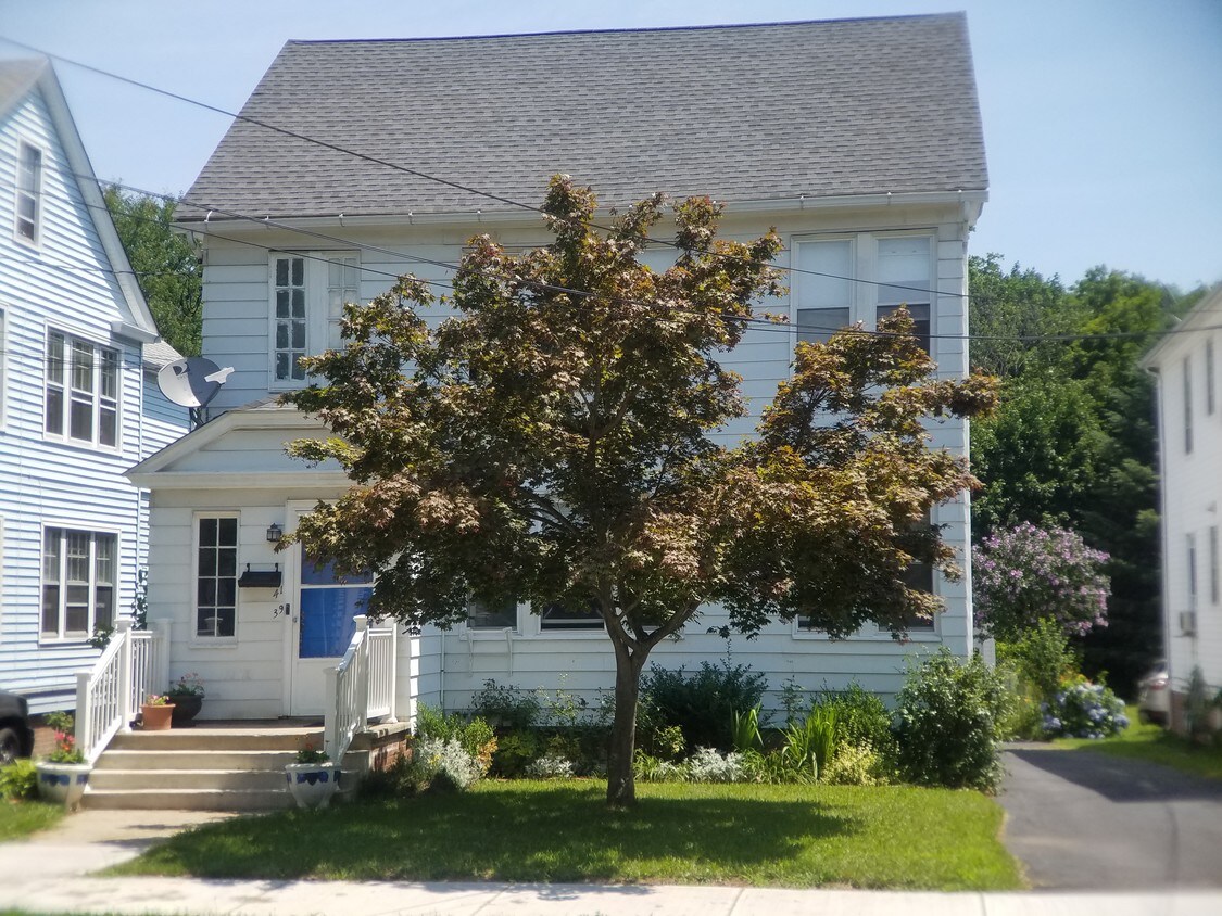 Primary Photo - 41 Winnett St