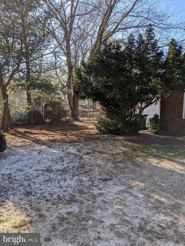 Primary Photo - 113 Linden Terrace