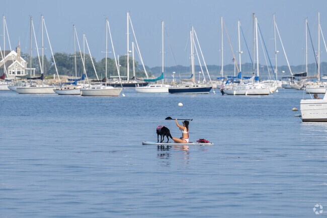 The idyllic fun of paddleboarding with the dog next to Waterford is a great adventure.