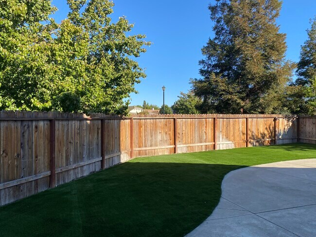Backyard - 3268 Lagunita Ct