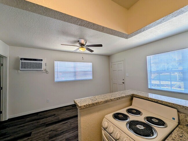 57 Davis Blvd 1 bedroom - Davis Islands Apartments