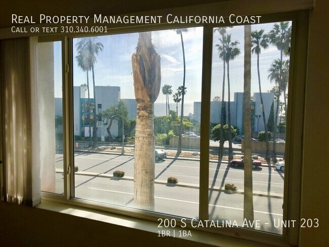 Foto del edificio - 200 S Catalina Ave